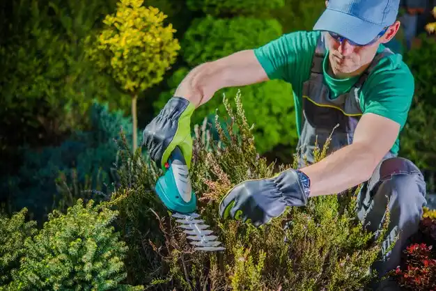 landscaping services White Castle